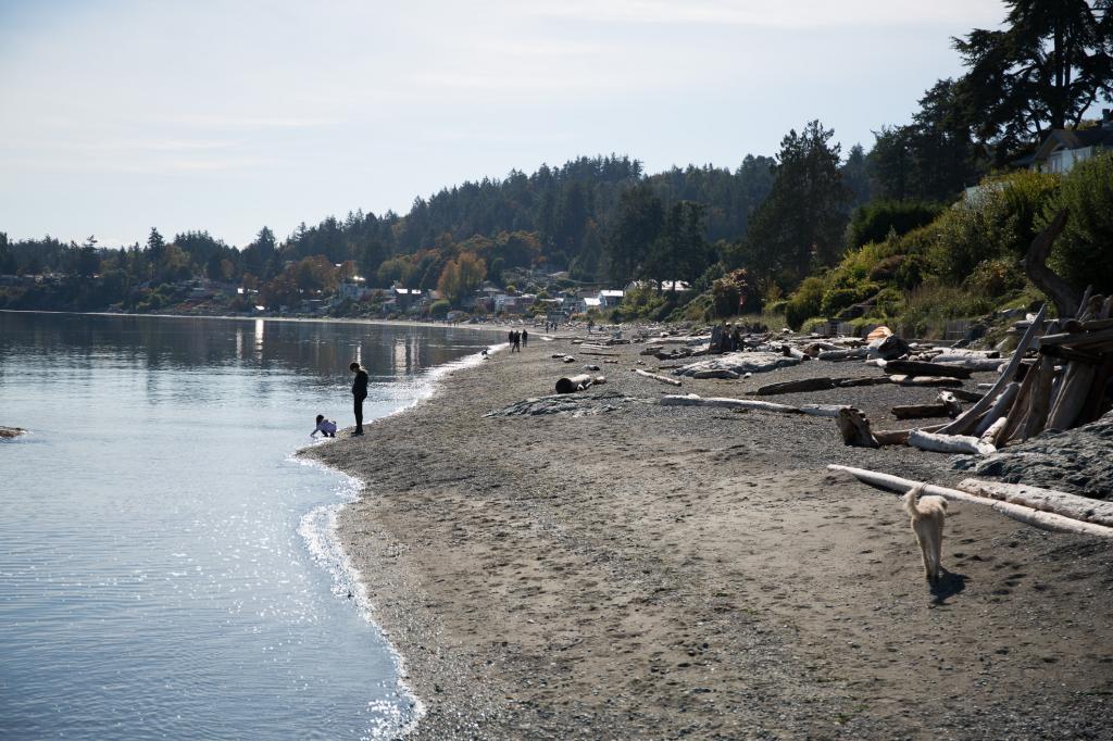 Cordova Bay Overview